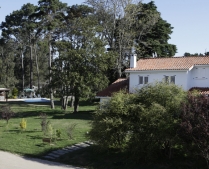 Enlarge photo